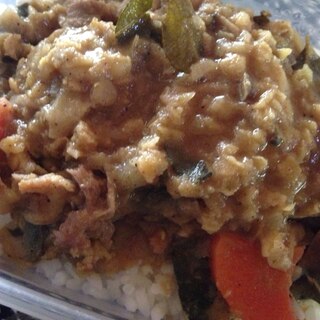 レンズ豆とひき肉のカレーどん。